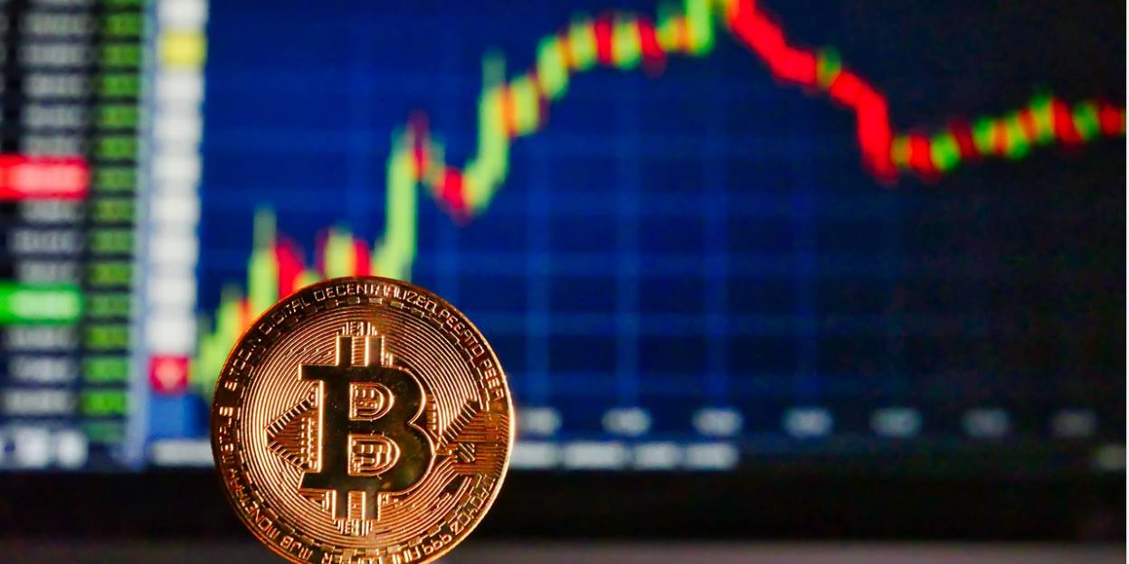 apa itu rug pull crypto